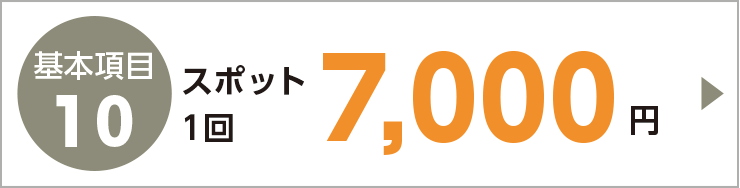 マンションプラン　基本項目10 スポット1回7,000円