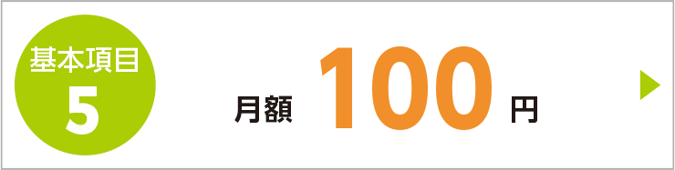 お手軽プラン基本項目5 月額100円