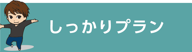 しっかりプラン