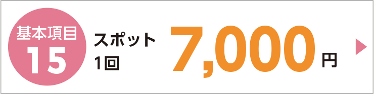 その都度プラン基本項目15 スポット1回7,000円